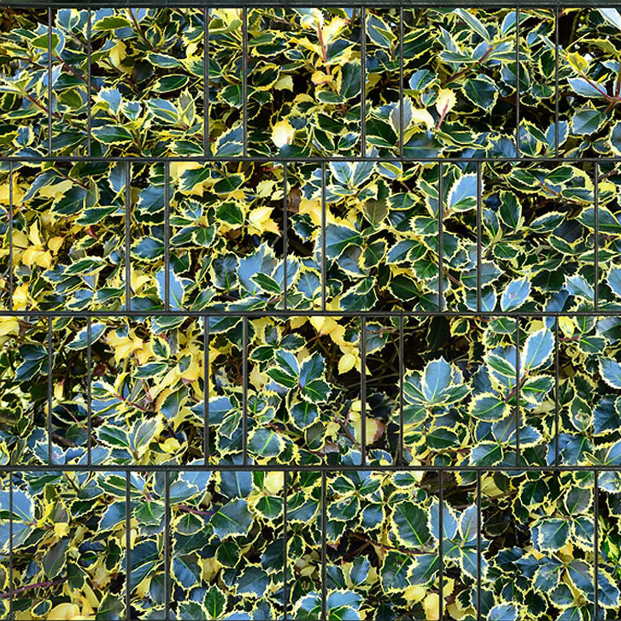 Produktbild des Produkts Motiv-Sichtschutzstreifen beidseitig bedruckt