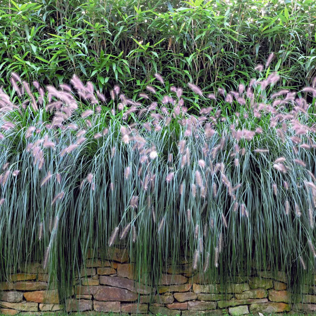 Produktbild des Produkts Motiv-Sichtschutzstreifen einseitig bedruckt